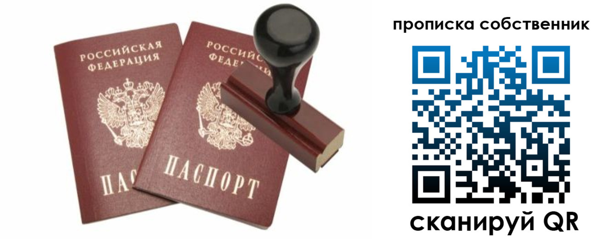 найти адрес прописки в Звенигово
